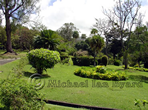 Botainical Gardens St Vincent